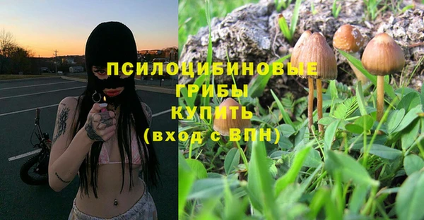 дурь Лагань